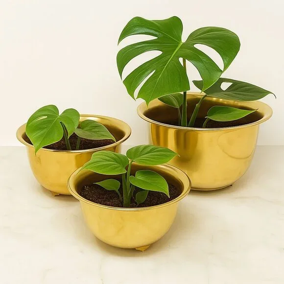 Vtg Set of 3 Brass Footed Bowl Cachepot / Planter / Trinket Dish Lacquered MCM - Picture 1 of 6